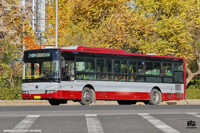 800BUS