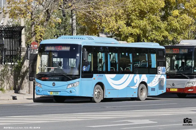 800BUS