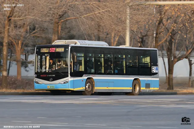 800BUS
