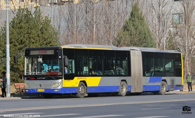 800BUS