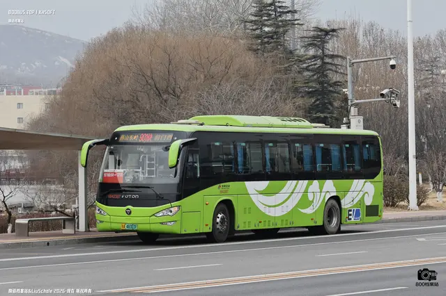 800BUS
