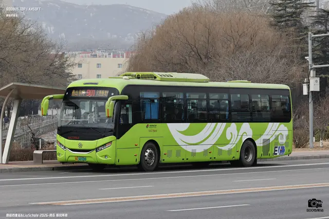 800BUS