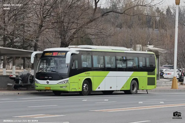 800BUS