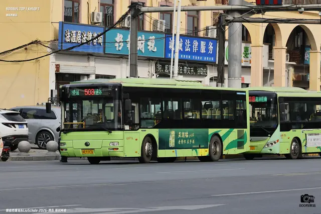 800BUS
