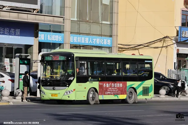 800BUS