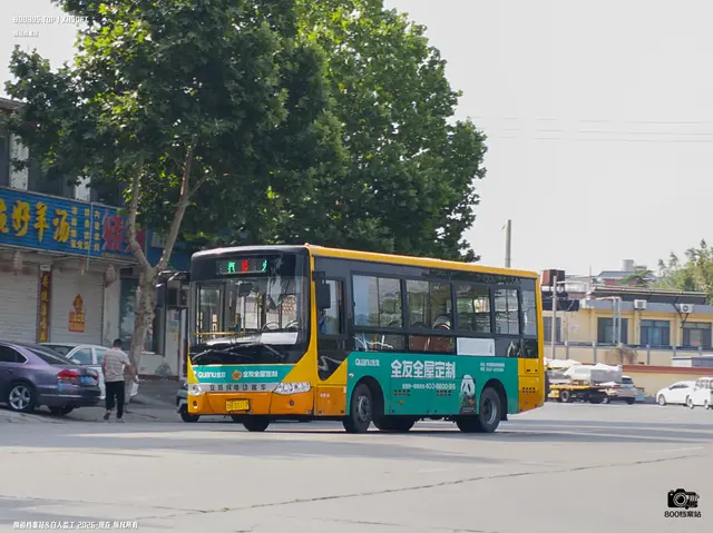 800BUS