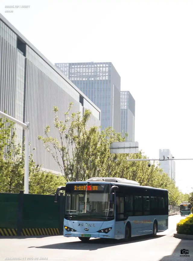 800BUS