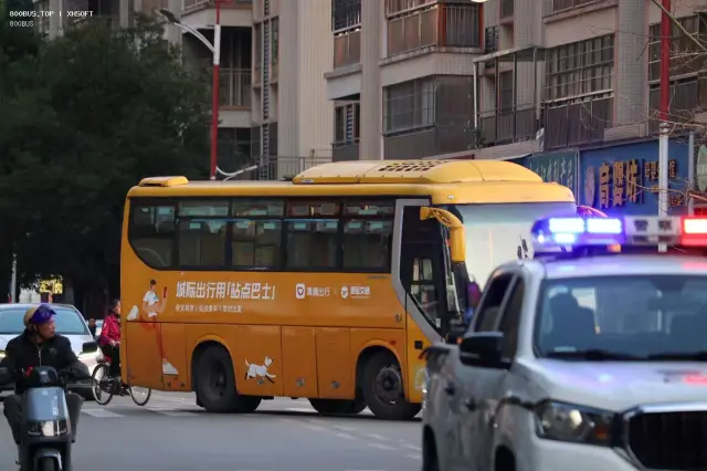 800BUS