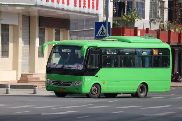 800BUS