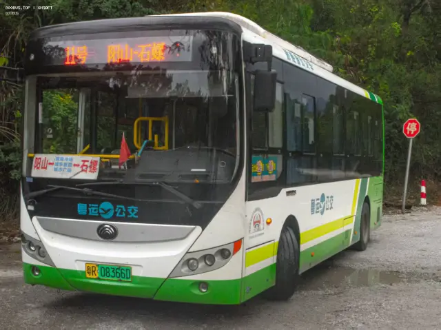 800BUS