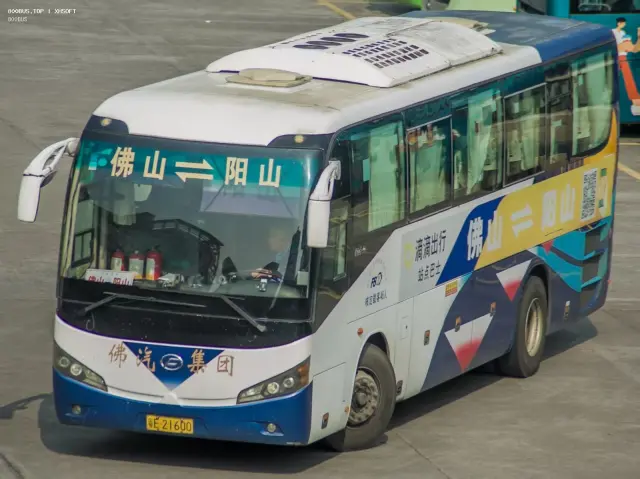800BUS