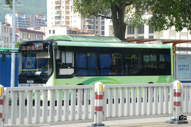 800BUS