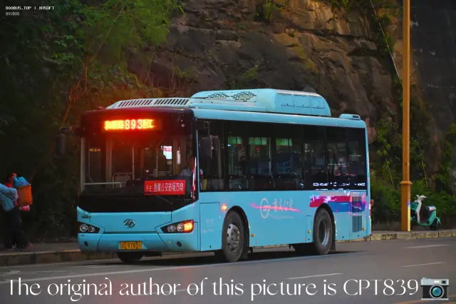 渝D97831