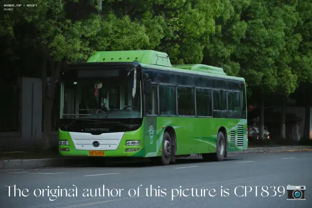 渝BT6950