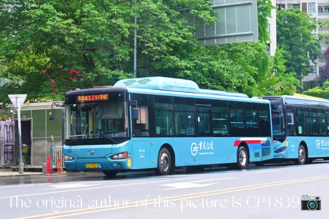 渝D 39851