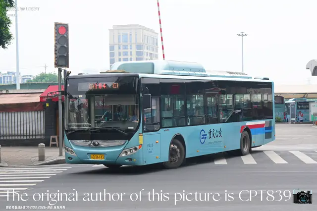 800BUS
