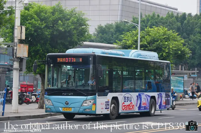 800BUS