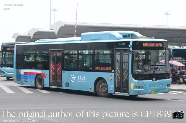 800BUS