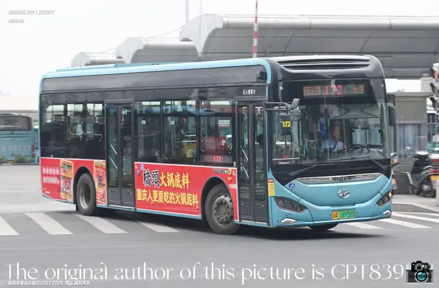 800BUS
