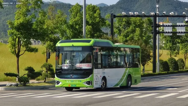 800BUS