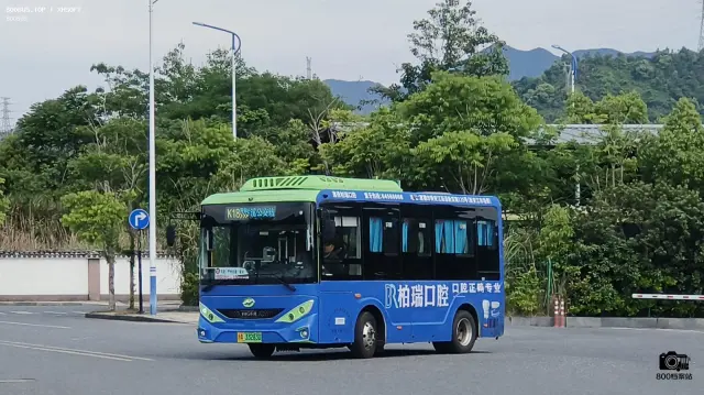 800BUS