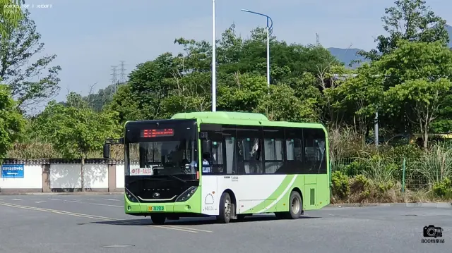 800BUS