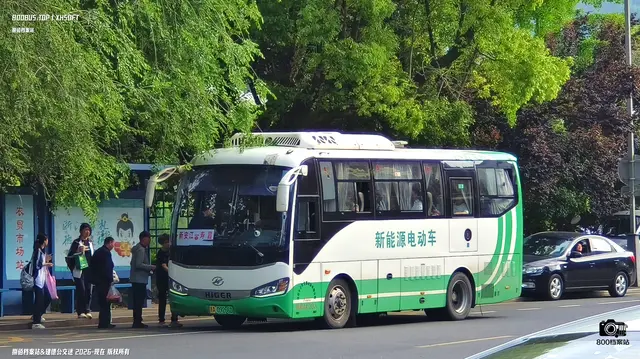 800BUS
