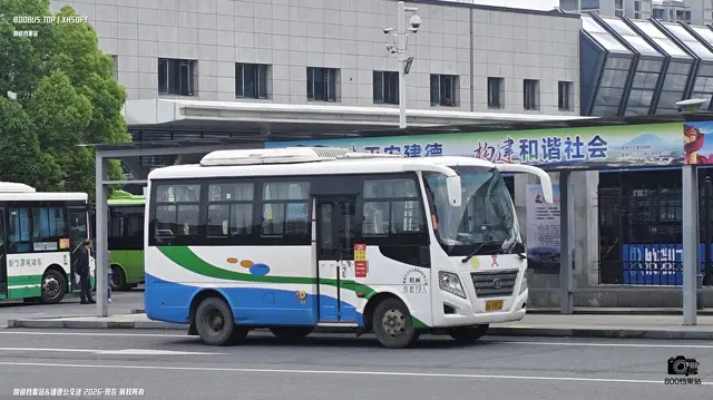 800BUS