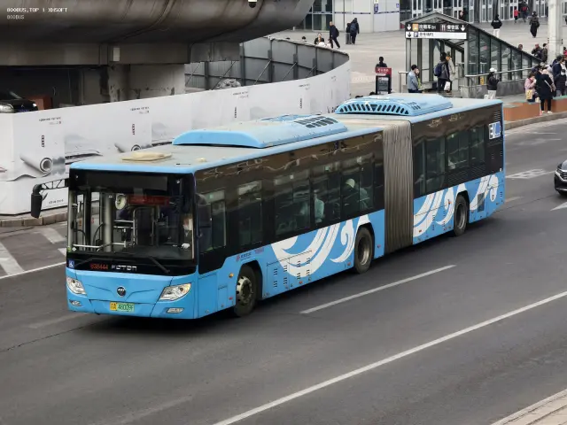 800BUS