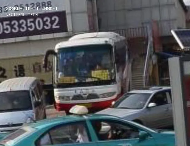 800BUS