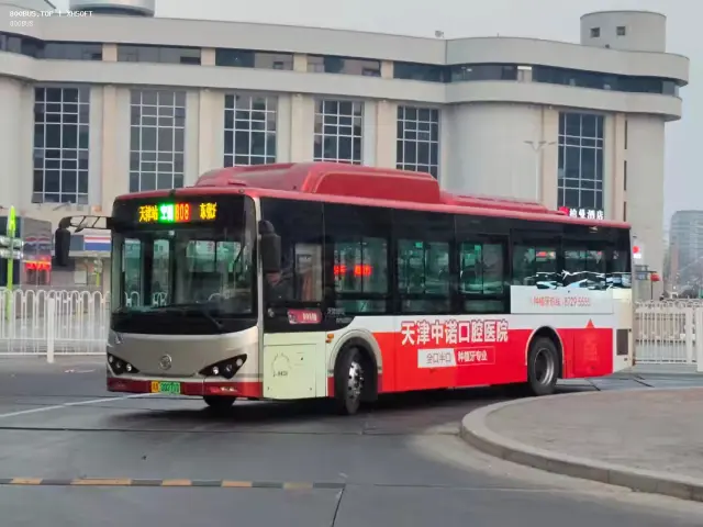 800BUS