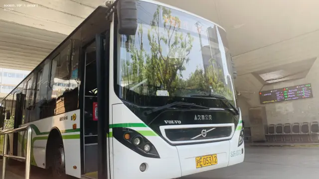 800BUS