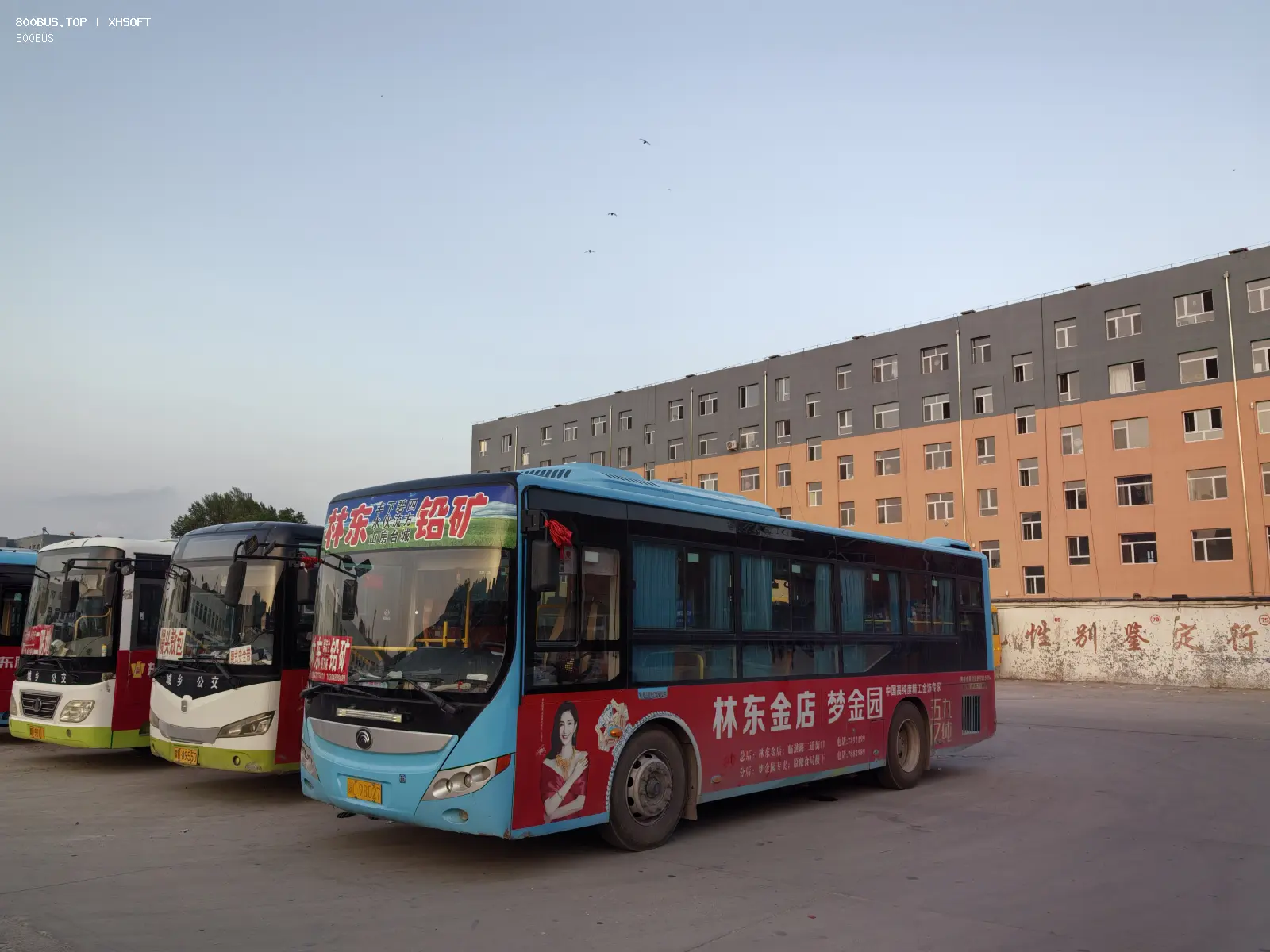 Bus Archive