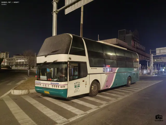 800BUS