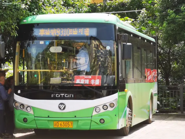800BUS