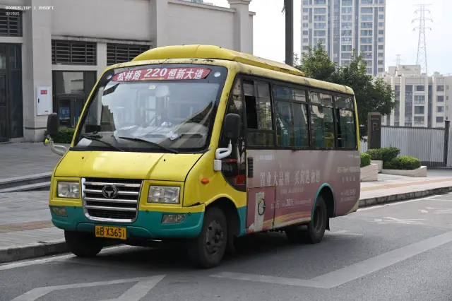 800BUS