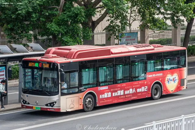 800BUS