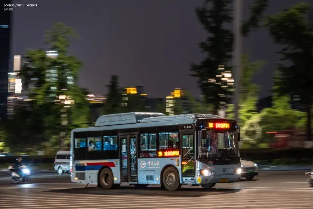 渝D 82563