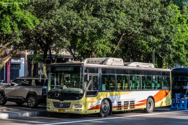 800BUS