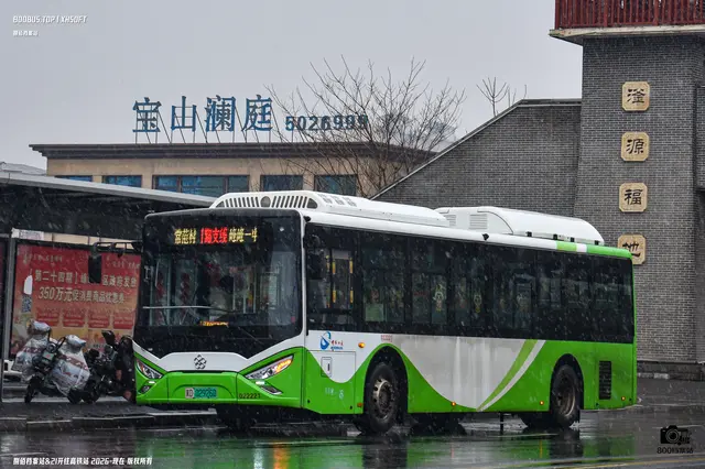 800BUS