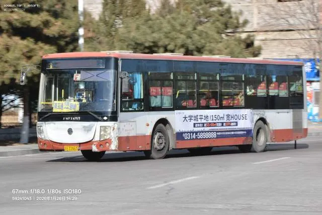 800BUS