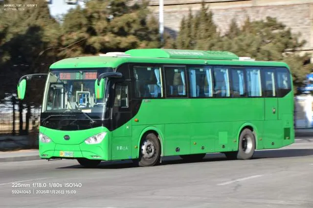 800BUS
