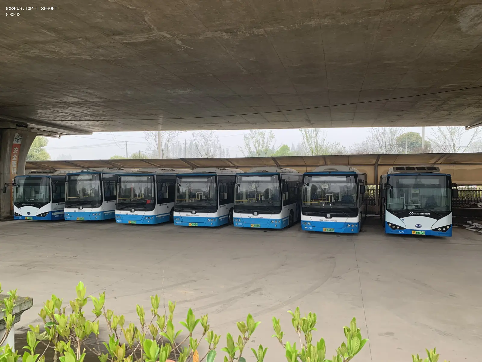 Bus Archive