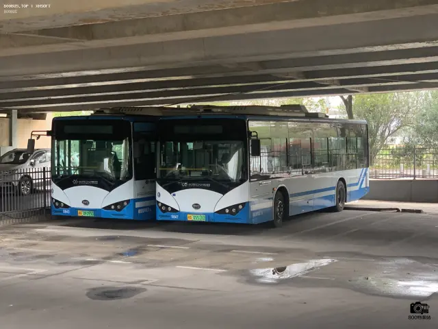 800BUS