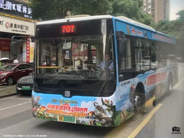 800BUS