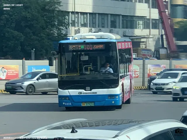 800BUS