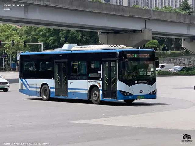 800BUS