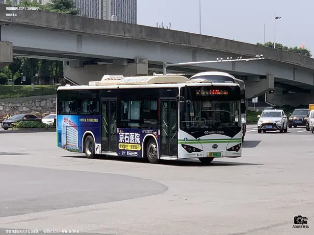 800BUS