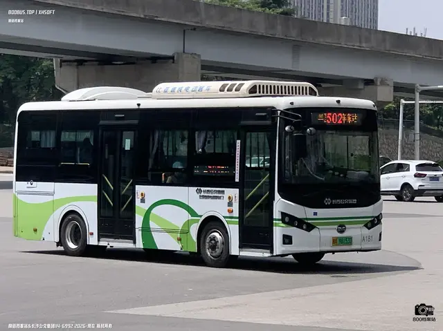 800BUS