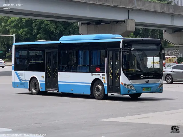 800BUS
